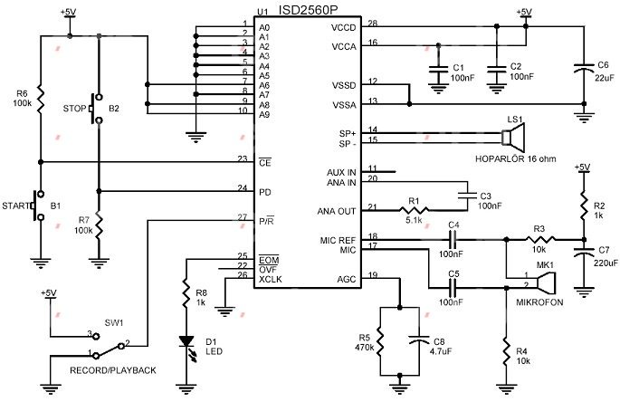 Decoding Circuit Diagrams: Your Gateway to Electronics