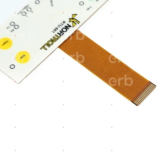 Graphene and Membrane Switches: The Future of Electronics